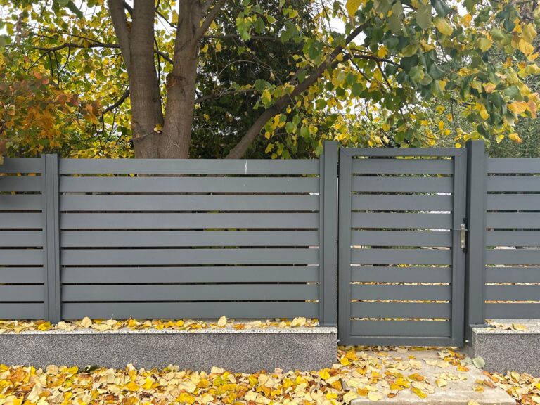 Deschide galeria proiectului